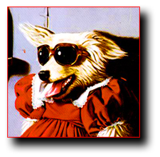 Thumbnail image for Baby, Take Your Teeth Out