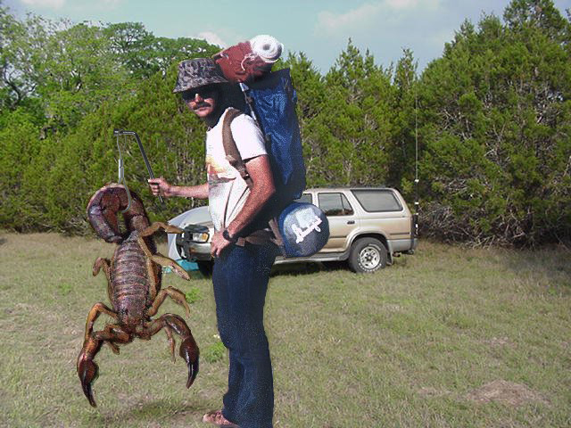 scorpion Texas caver Bill Bentley shows Dems what they're dealing with scorpion Texas caver Bill Bentley shows Dems what they're dealing with