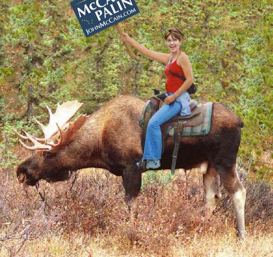 Moose Riding Moose Riding