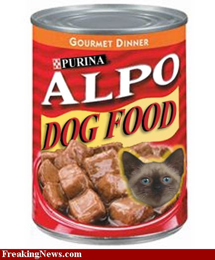 Get best 10 best dog food brands