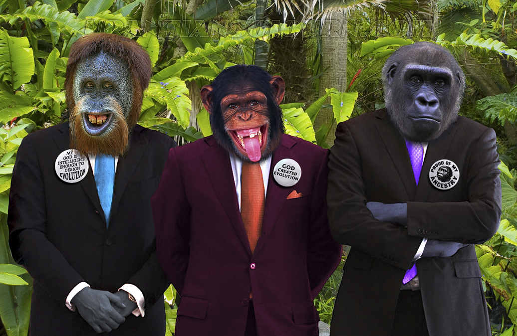 Evolution Myth Evolution Myth