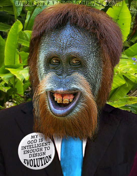 Evolution Myth Orang Evolution Myth Orang