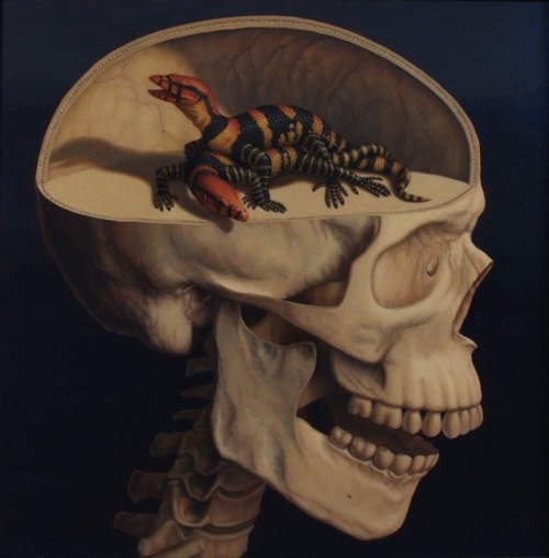 lizard brain 1