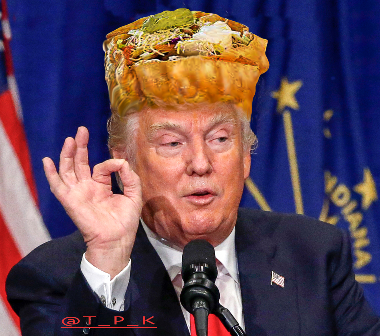@realTacoHeadTrump @realTacoHeadTrump