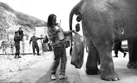 elephant-shit.jpg